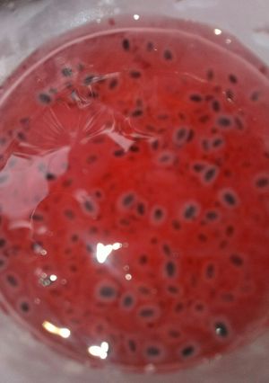 Foto resep Selasih sarang ubur ubur