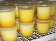 Gambar silky pudding puding mangga