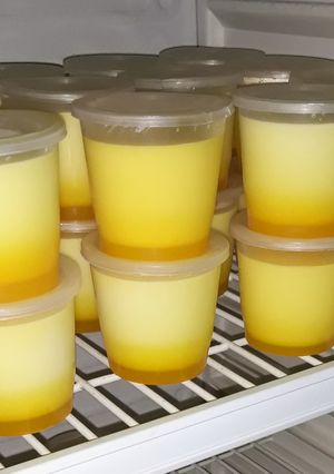 Foto resep Pudding Sutra Mangga