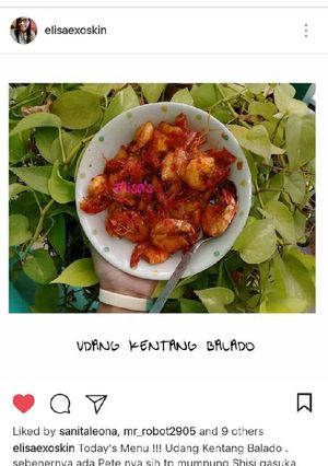 Foto resep Udang Balado