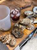Bog-standard Oyster Stew