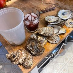 A picture of Bog-standard Oyster Stew.
