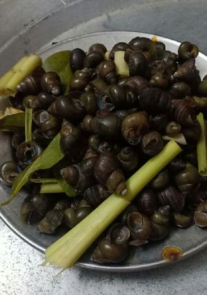 Hình của món Ốc luộc và cách pha nước chấm.