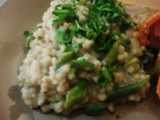 asparagus cheese risotto