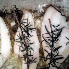 A picture of flounder simple.