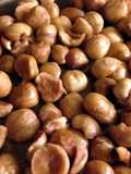 Preparing and Roasting Hazel Nuts