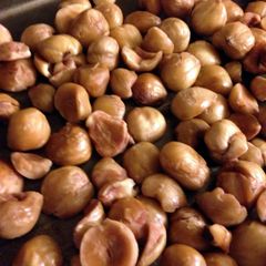 A picture of Preparing and Roasting Hazel Nuts.