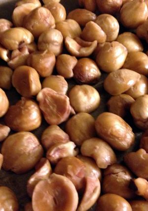 A picture of Preparing and Roasting Hazel Nuts.