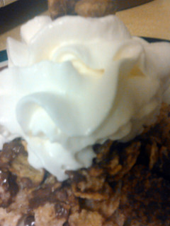 A picture of cereal desert.