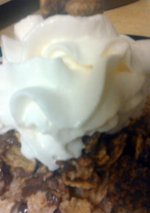 A picture of cereal desert.