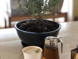 Lavanda Latte ☕️