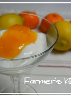 A picture of [Farmhouse Recipe] Tangerine Jam.