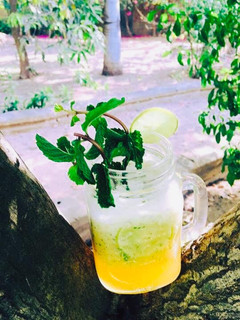 પાઈનેપલ મોહીતો (Pineapple Mojito Recipe In Gujarati) રેસીપી મુખ્ય ફોટો
