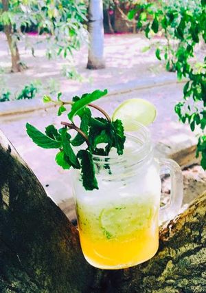 પાઈનેપલ મોહીતો (Pineapple Mojito Recipe In Gujarati) રેસીપી મુખ્ય ફોટો