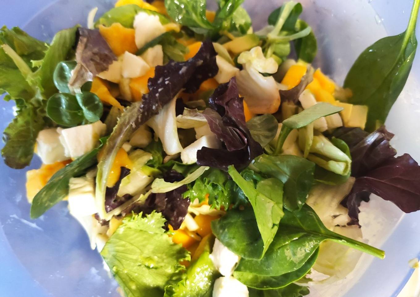 Ensalada fresca de aguacate mango y mozzarella