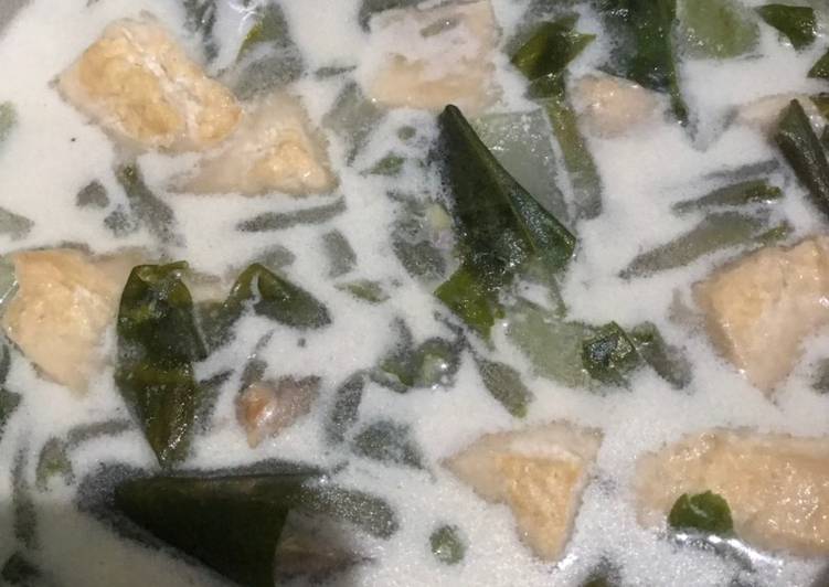 Sayur lodeh tahu tempe