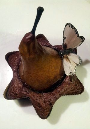 A picture of AMIEs CHOCOLATE Mini Cake with PEARs.