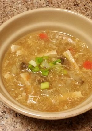 A picture of Hot N Sour Soup.