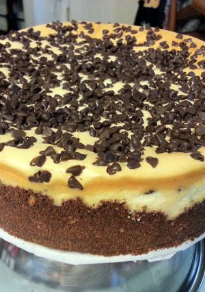 A picture of skye's mini chocolate chip cheesecake.