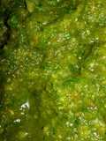 Sofrito