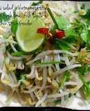 bean sprouts salad ~ Vietnamese style