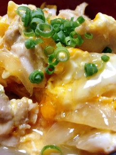 A picture of Super Easy Oyako Donburi with Shirodashi.
