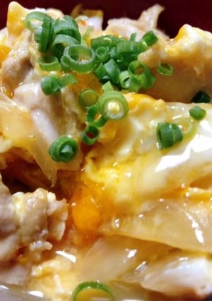 A picture of Super Easy Oyako Donburi with Shirodashi.