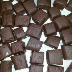 A picture of Fudge.