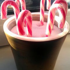 A picture of Vickys Home 'Grown' Christmas Candy Canes.