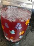 Kokum Sharbat
