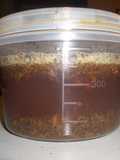 Homemade Black Tea Bread Starter