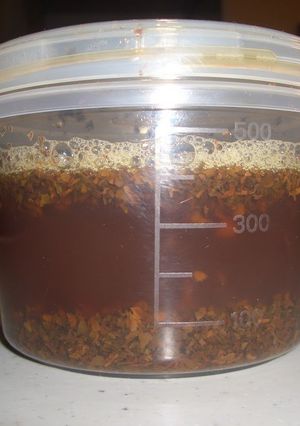 A picture of Homemade Black Tea Bread Starter.