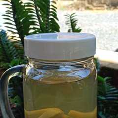 Infuse Water Detoks রেসিপির প্রধান ছবি