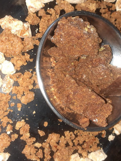 सोंठ सूखी मेवा गुड़(Sonth sukhi mewa gud recipe in Hindi) रेसिपी मुख्य फोटो