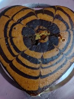 जेब्रा केक इन कड़ाई (zebra cake in kadai recipe in Hindi) रेसिपी मुख्य फोटो