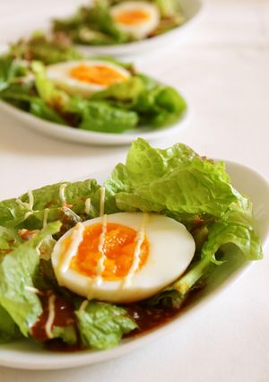 A picture of Salad with Gochujang Sauce and Mayonnaise.