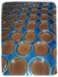 Puding Royal Coklat