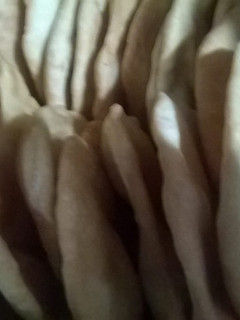Una foto de Tortas Fritas