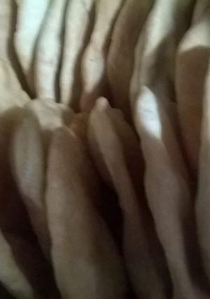 Una foto de Tortas Fritas