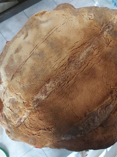 Foto di Pane di casa mia