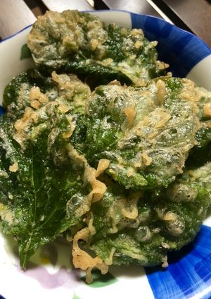 Foto resep Bayam Crispy