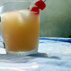 A picture of Salty Dog.