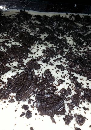 صورة لوصفة حلا بالاوريو من أم أسامة