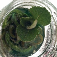 A picture of Jalapeño mint jelly.