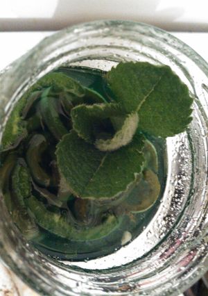 A picture of Jalapeño mint jelly.