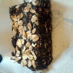 A picture of Raw Hemp Bars.