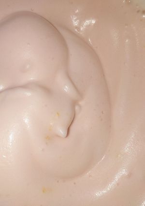 Una foto de Merengue vegano 😋