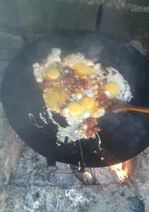 عکسی از دستور املت گوجه سبز