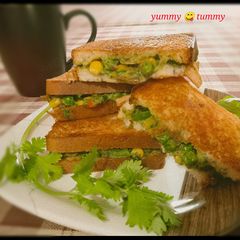A picture of Veg Mayonnaise Sandwich.