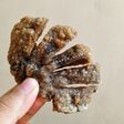 Pempek kulit